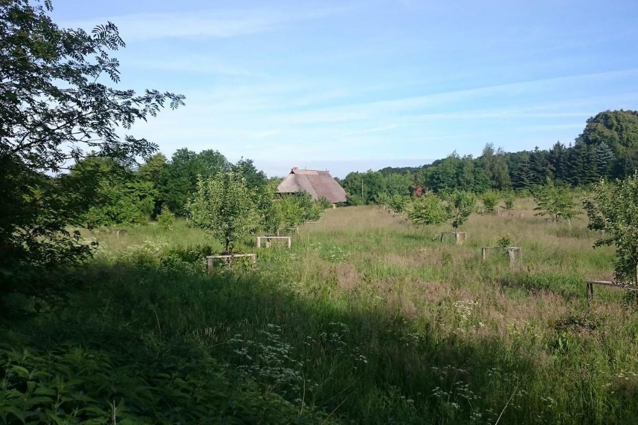 Chalet Forsthof Everstorf Grevesmuehlen Exterior photo